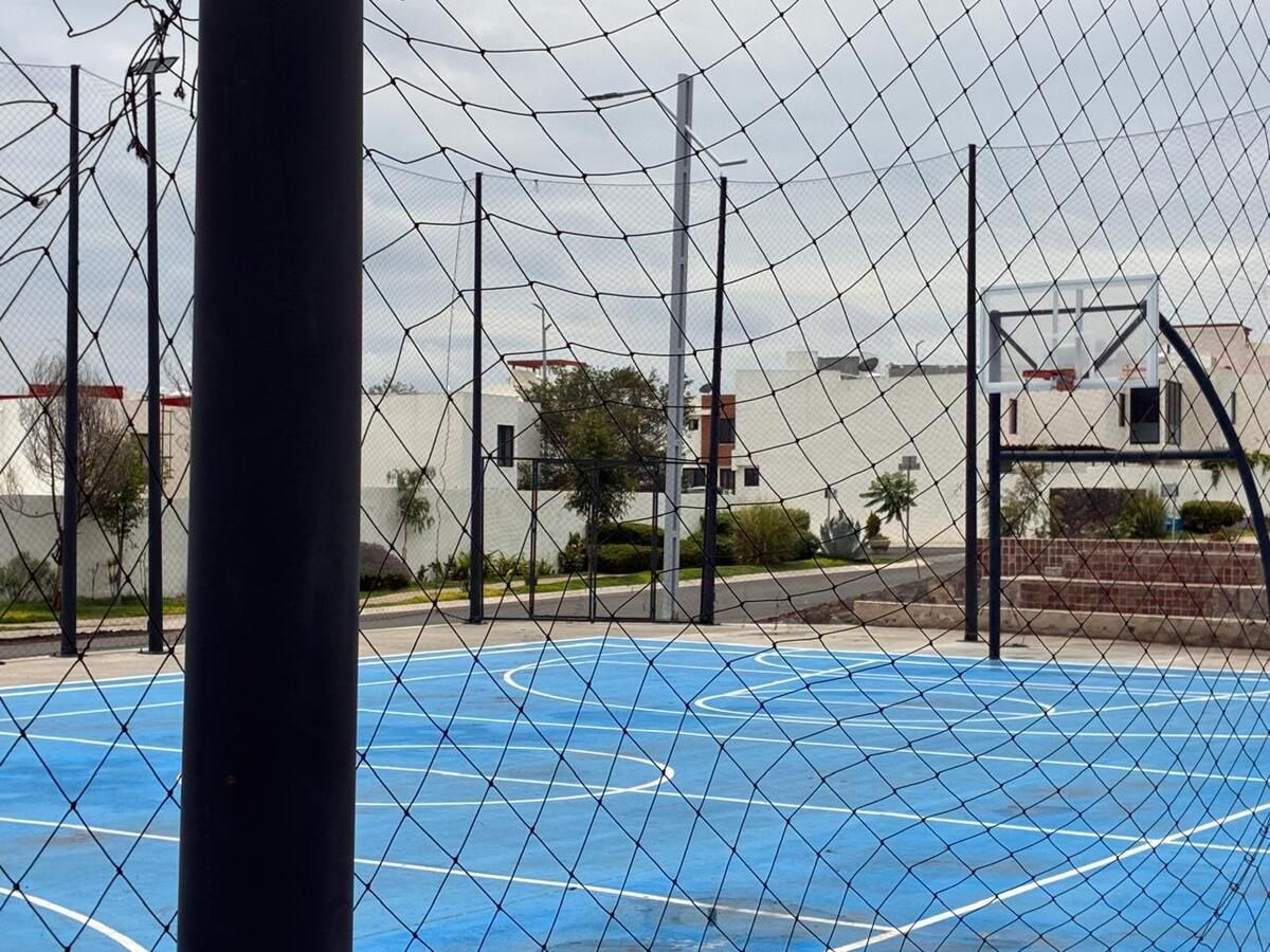 33 de 36