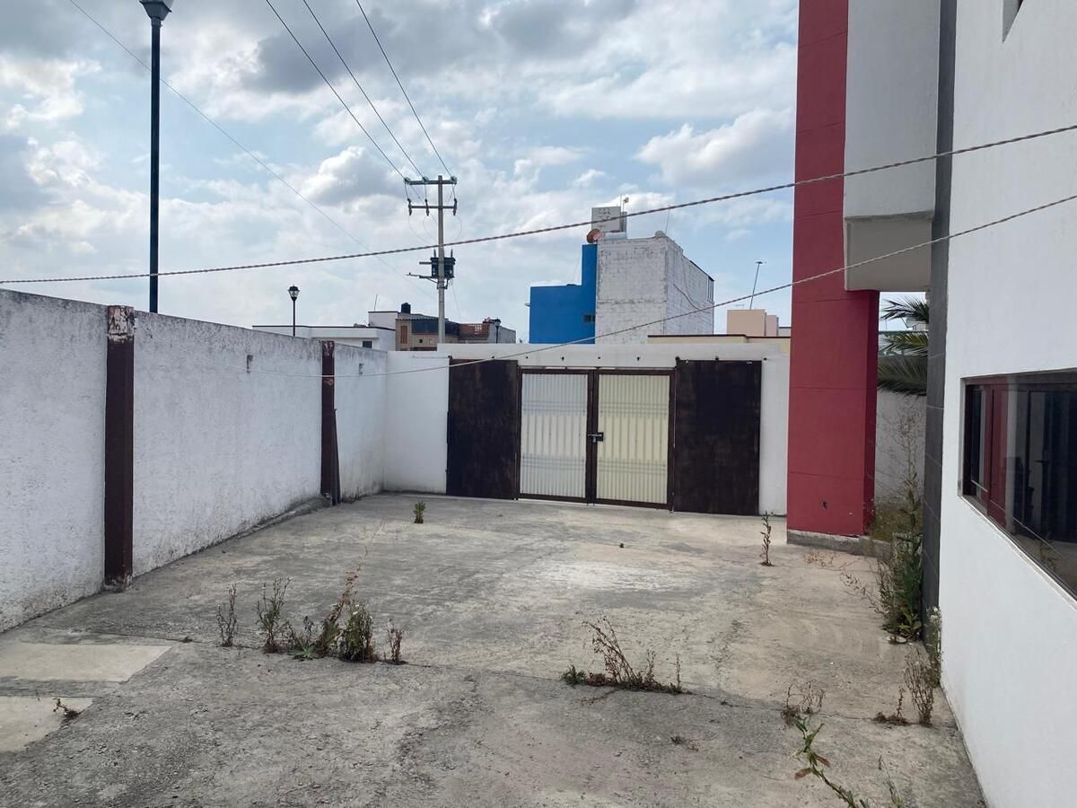 8 de 29