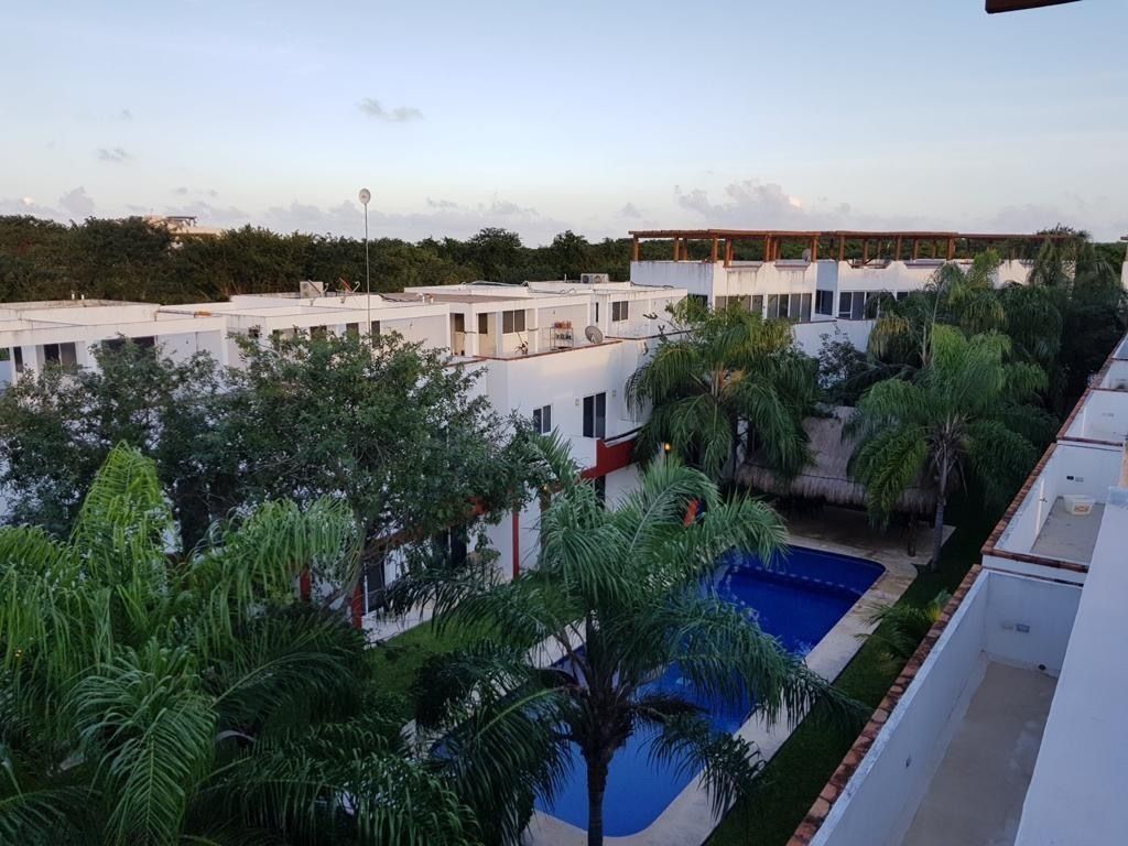 5 de 49