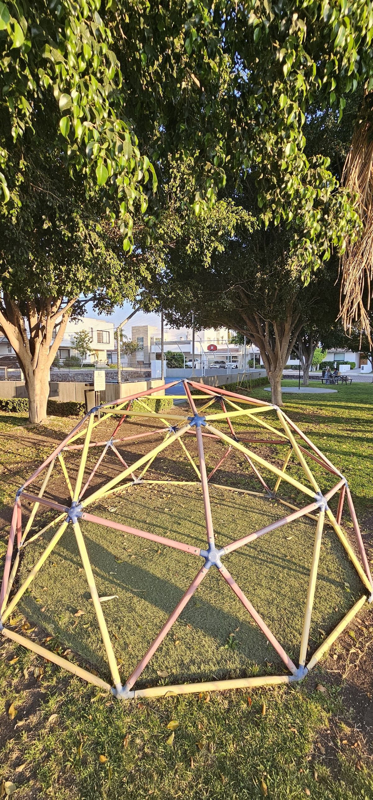 38 de 49