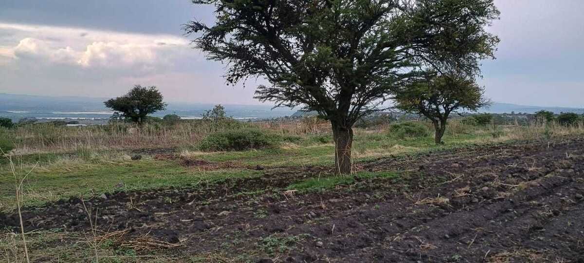 9 de 15
