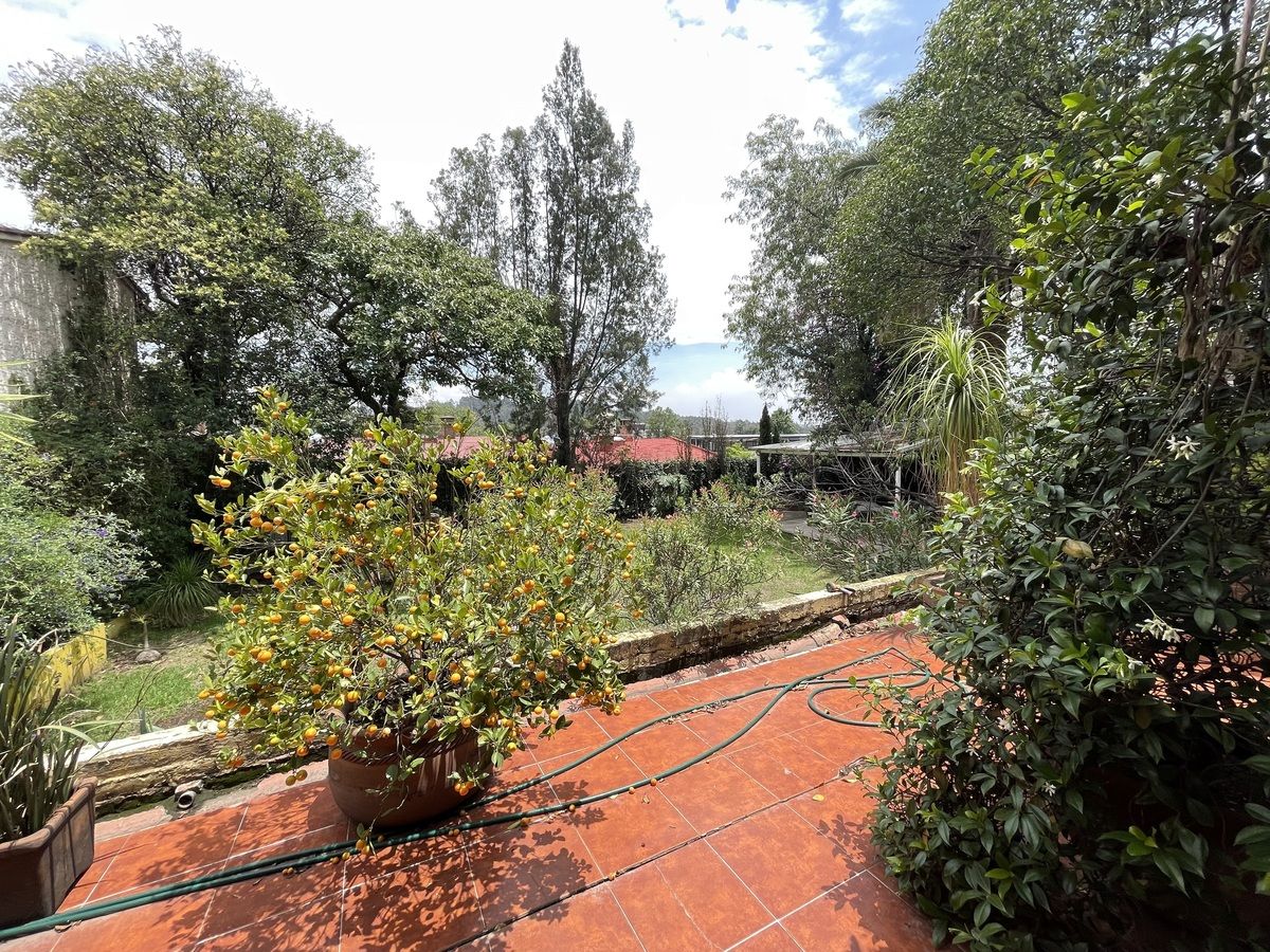 15 de 31
