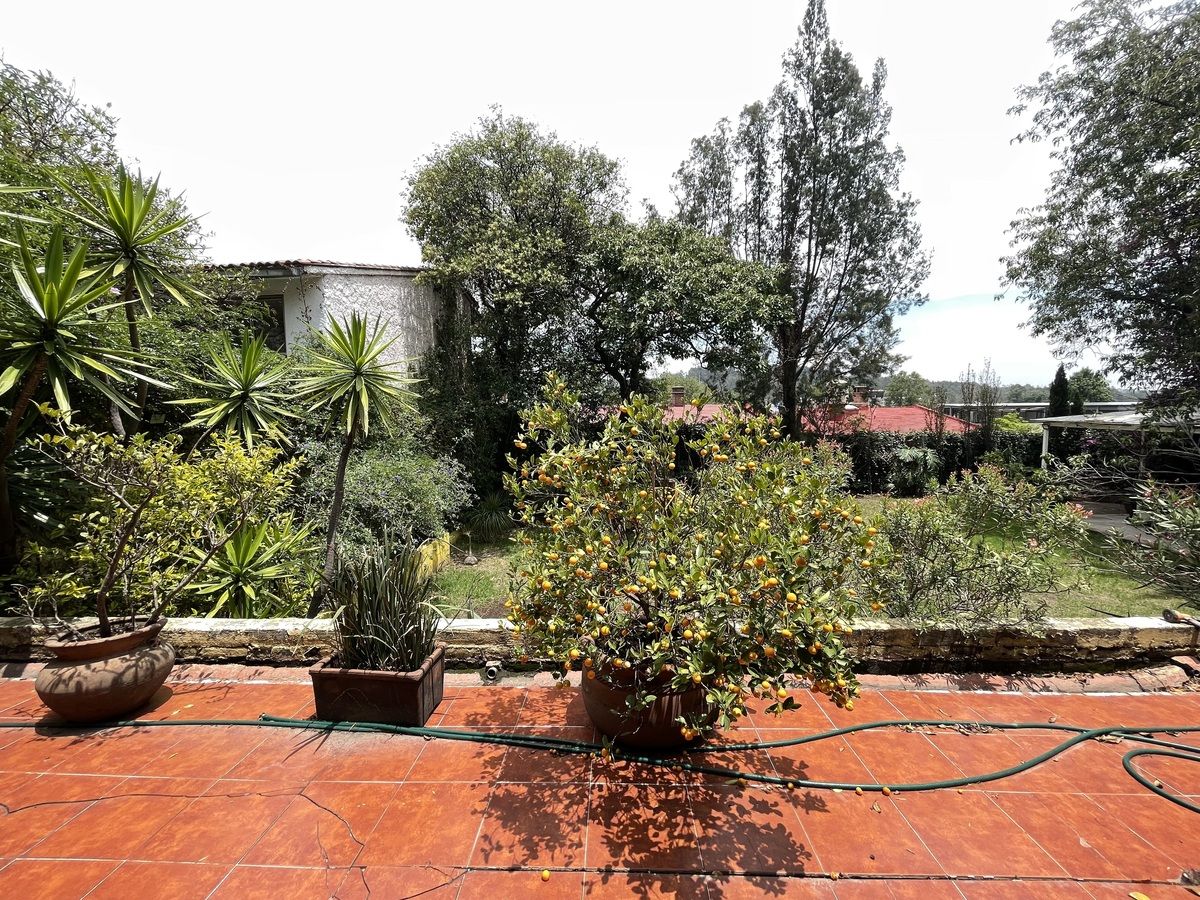 16 de 31