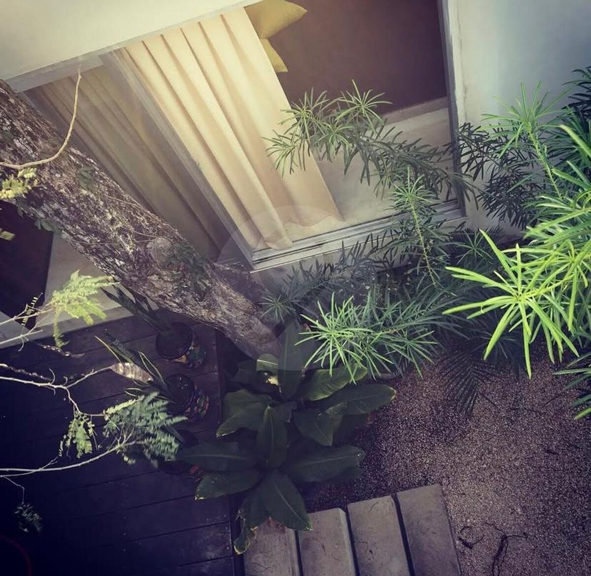 13 de 20