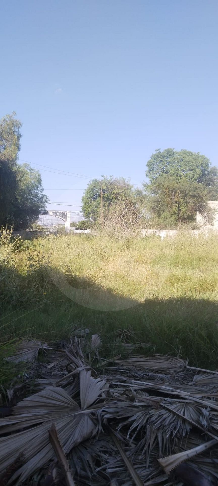 5 de 6