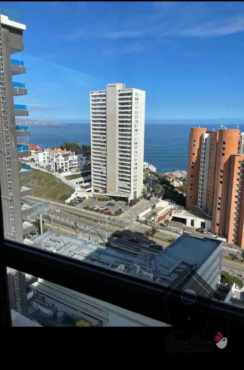 3 de 31