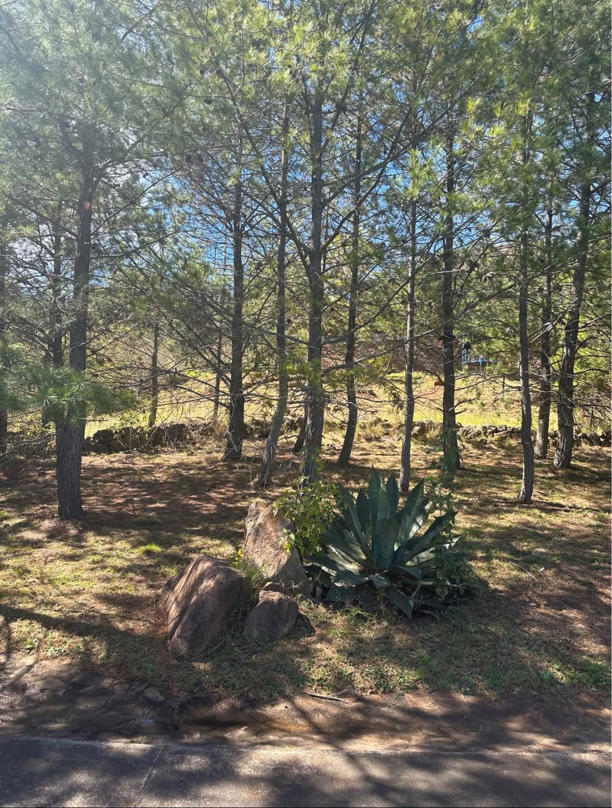 5 de 7