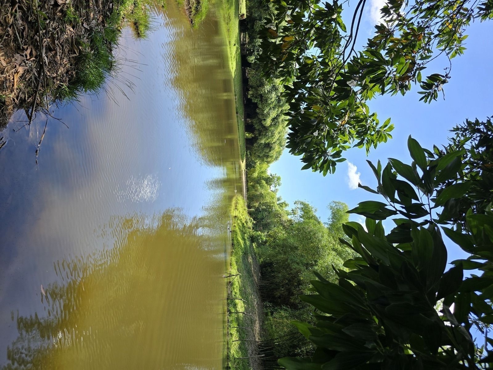 2 de 7: Lago principal