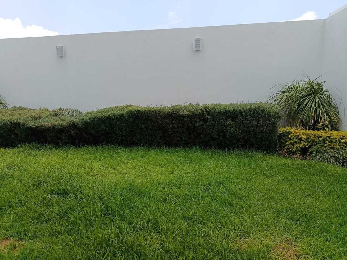 20 de 26