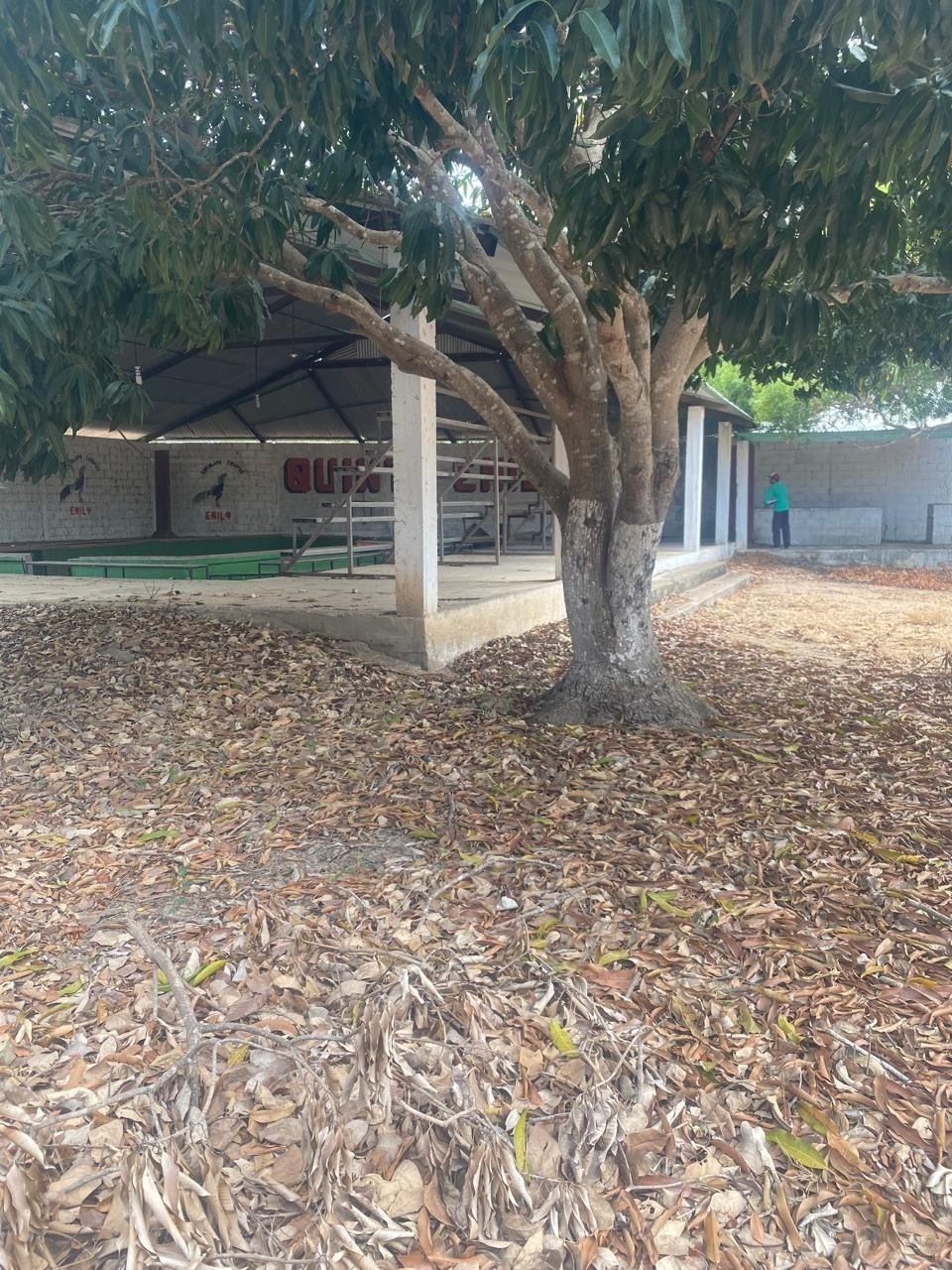 5 de 8