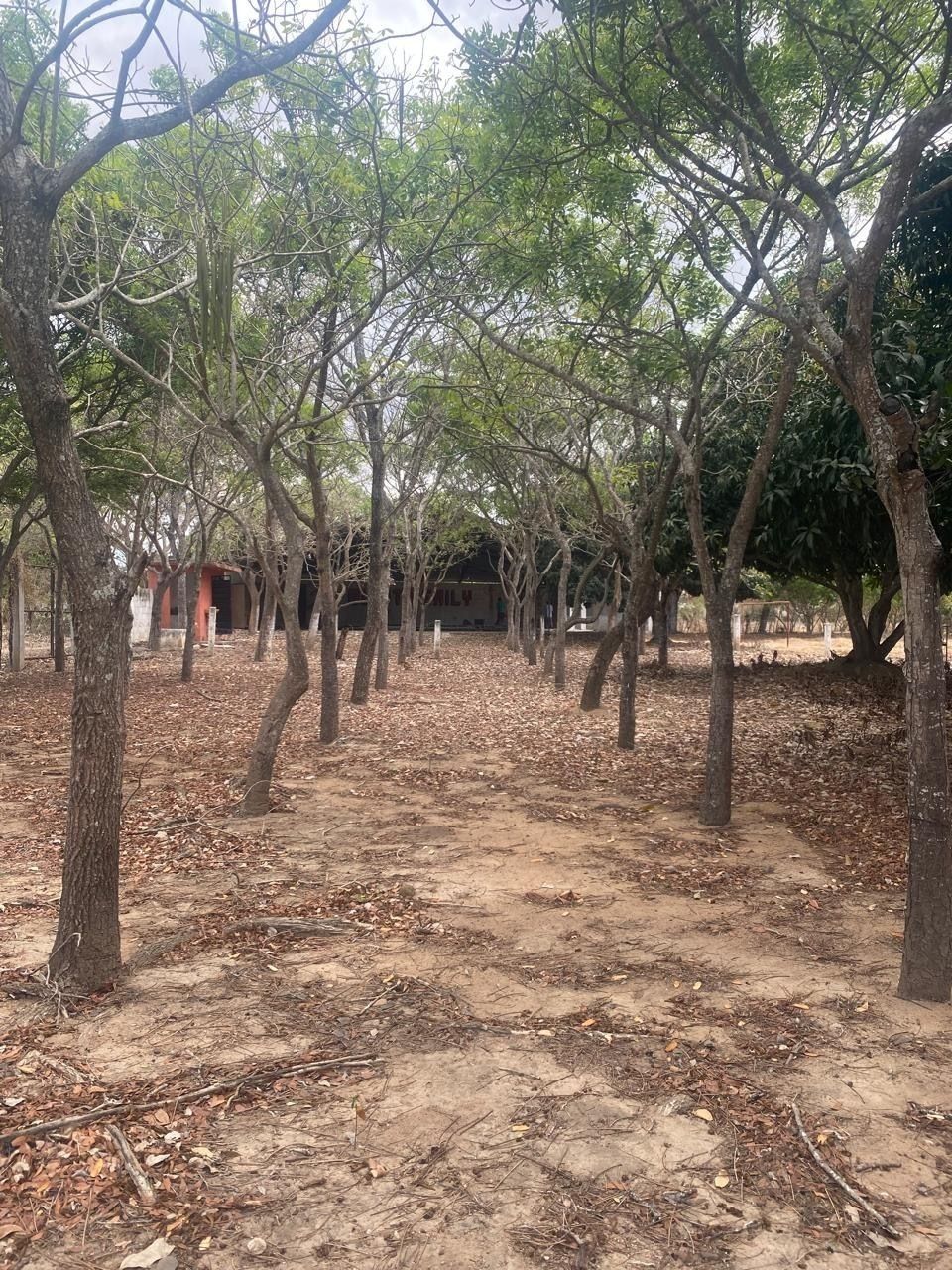 7 de 8