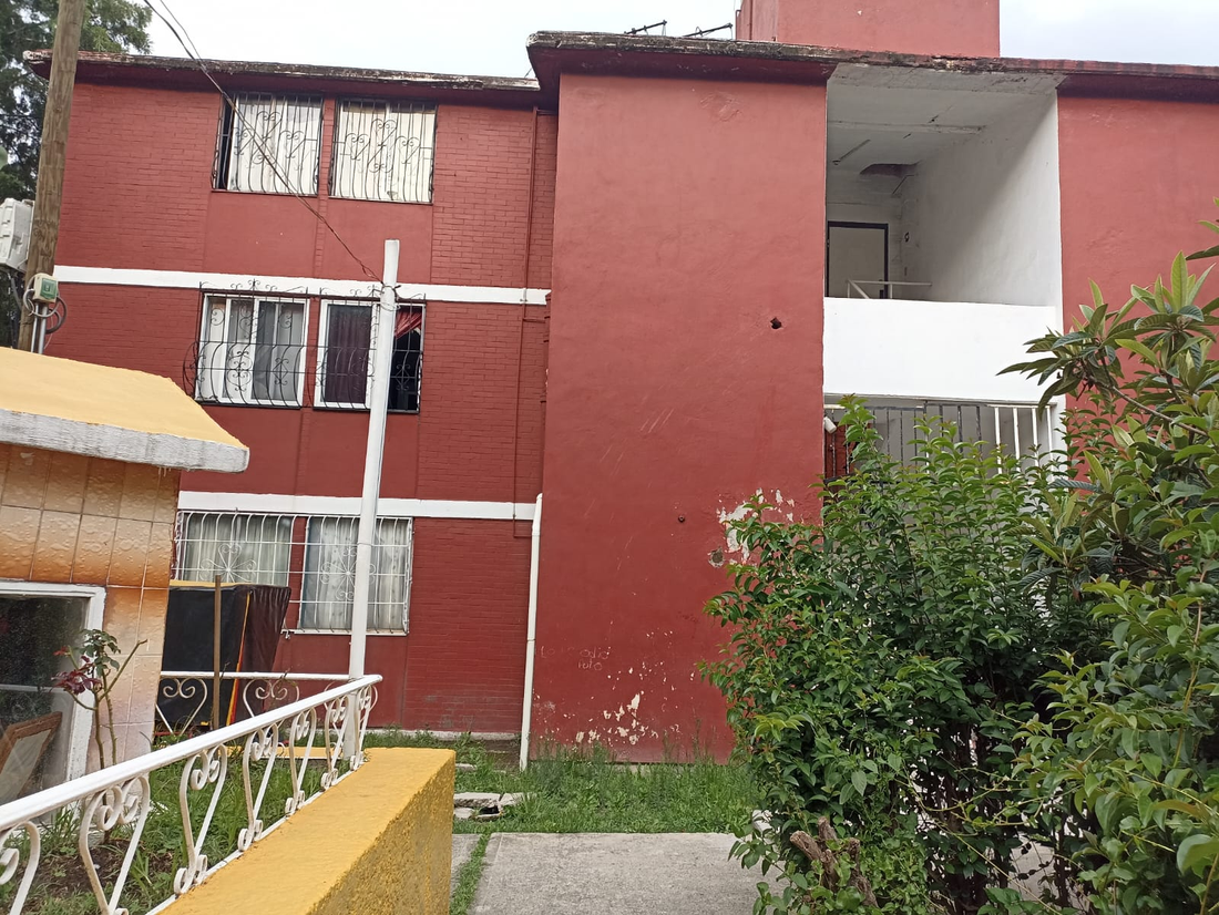6 de 17