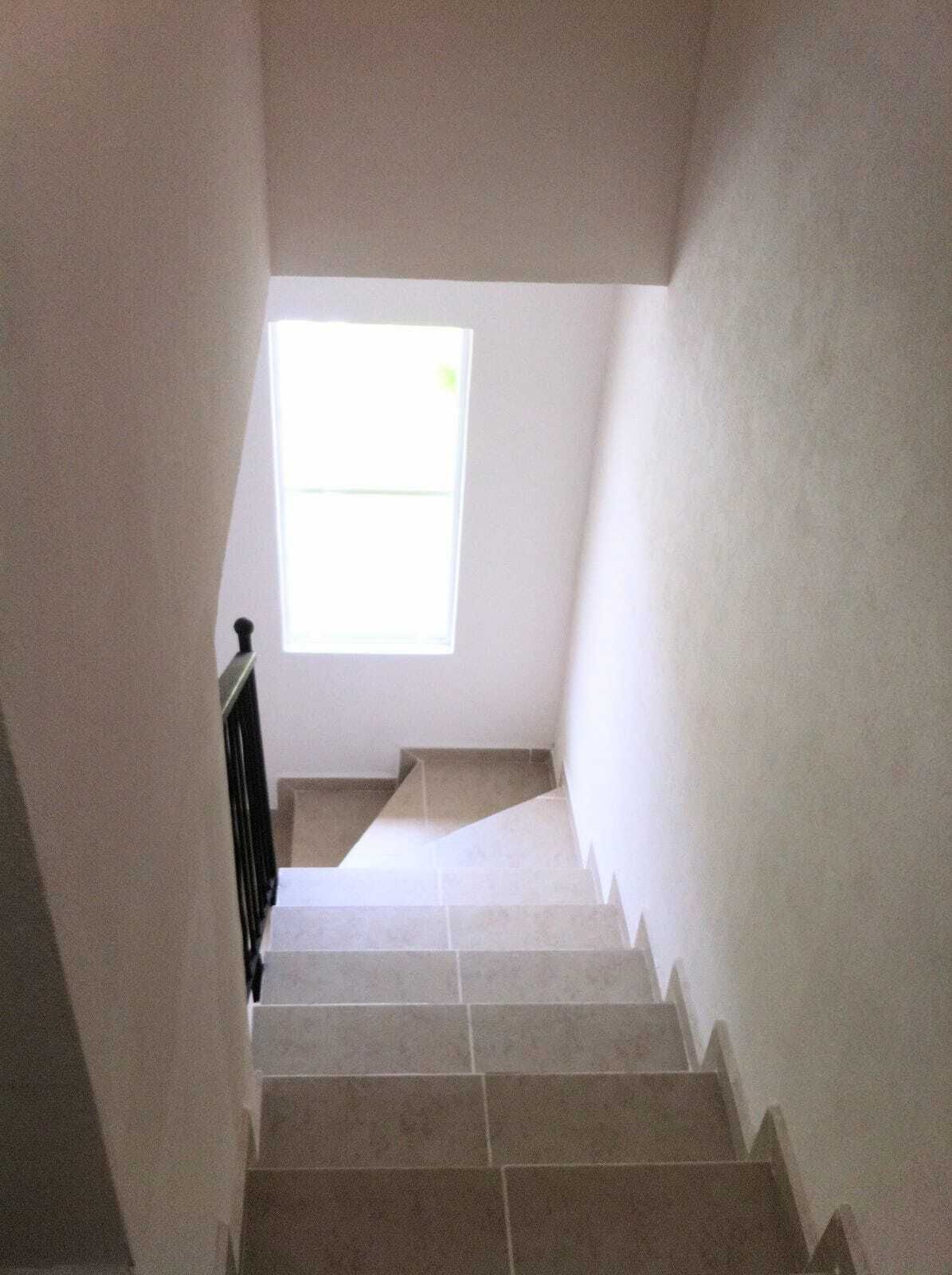 6 de 6