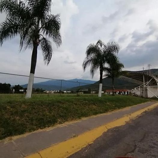 2 de 7
