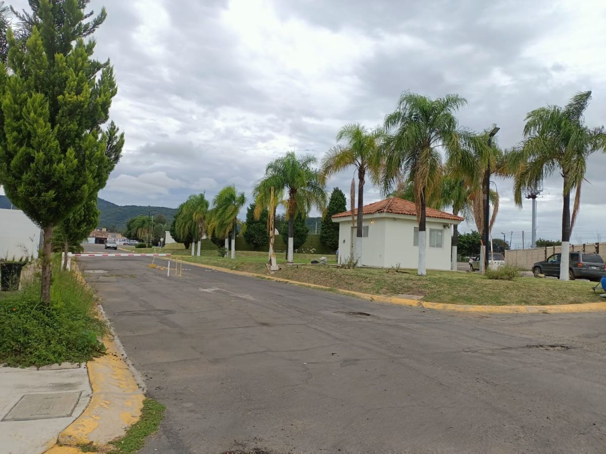 3 de 7