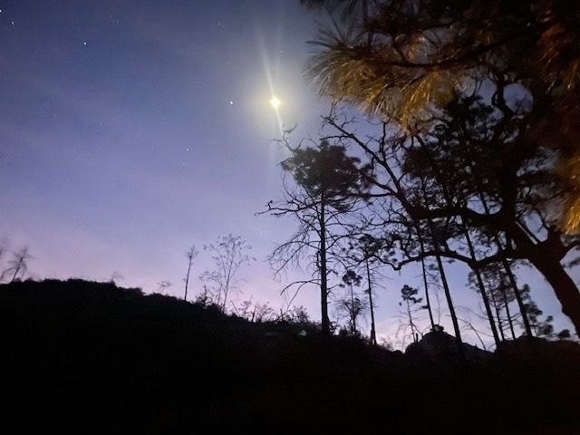 6 de 10