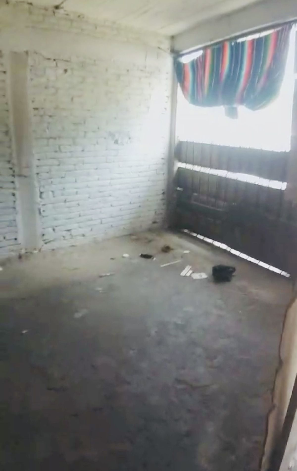 28 de 31