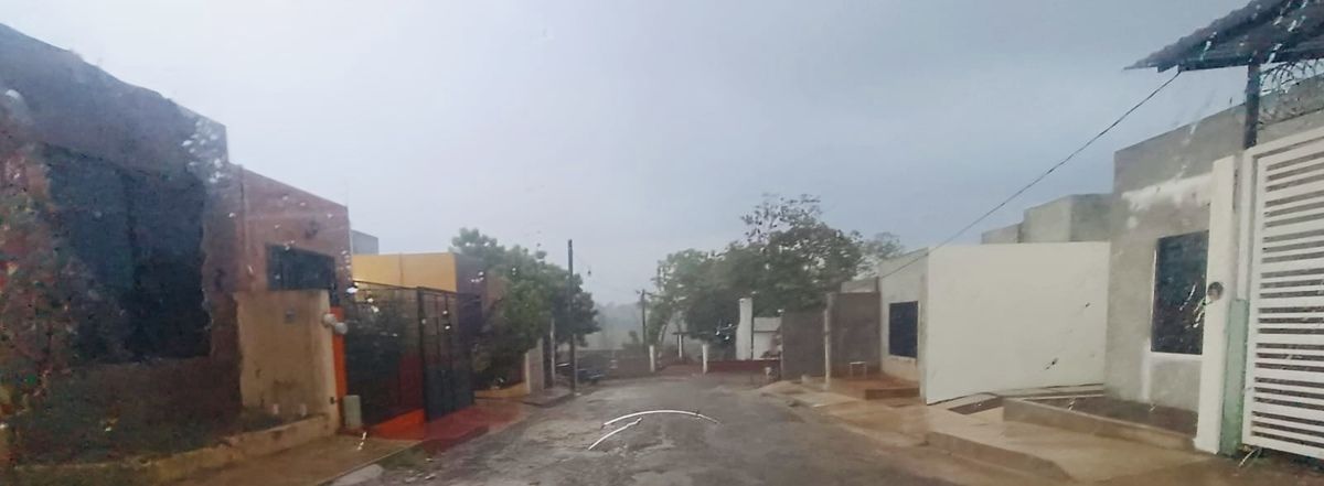 6 de 17