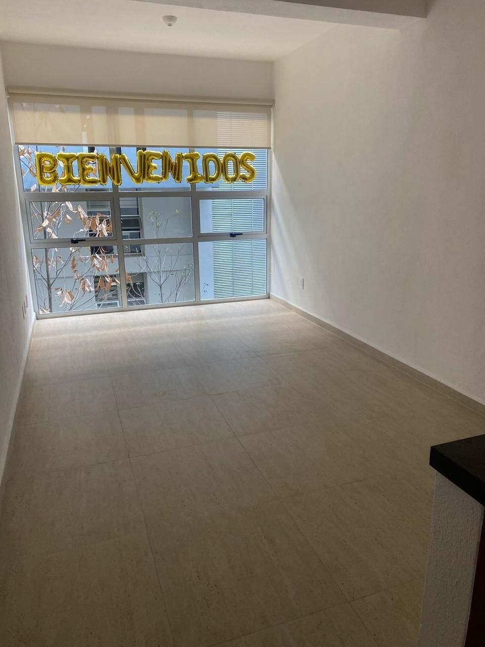 5 de 8