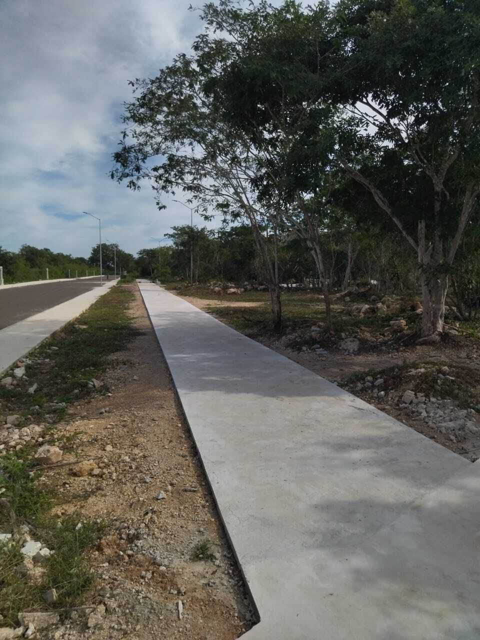 2 de 3