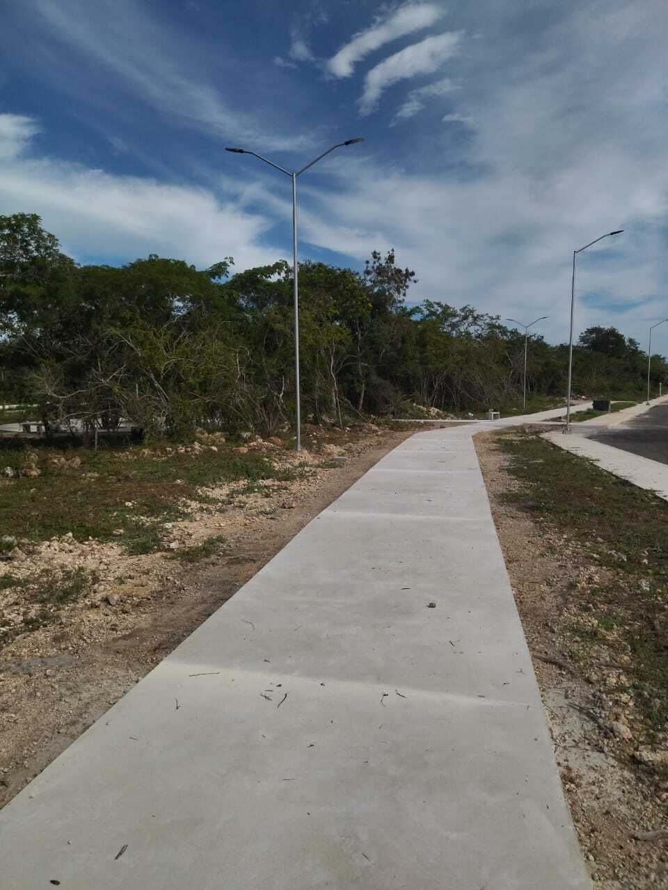 3 de 3