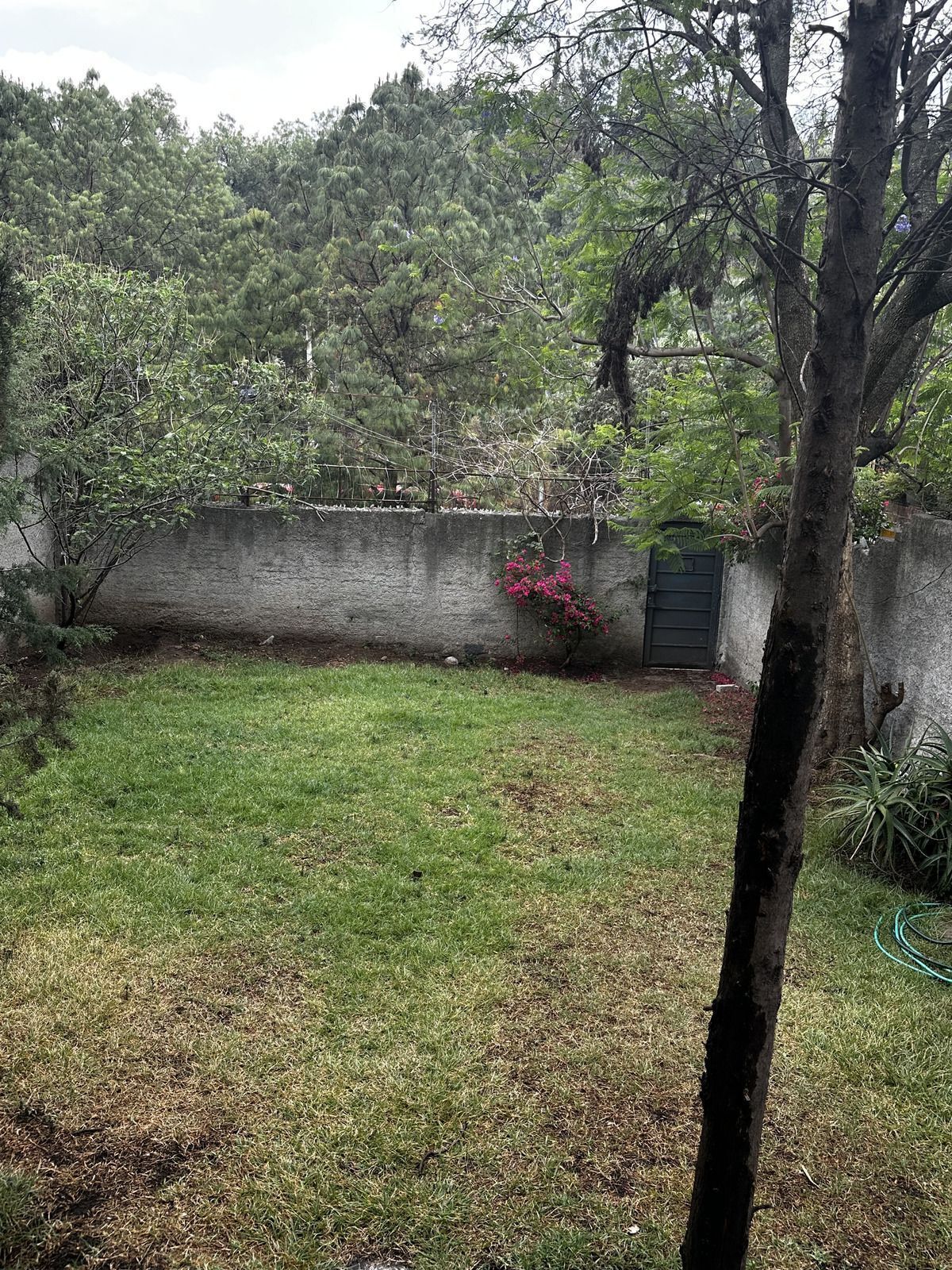 23 de 23