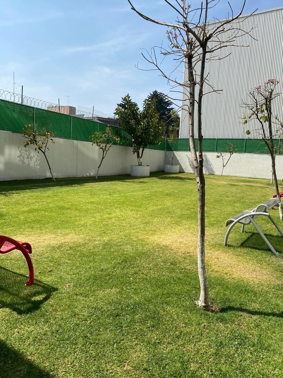 14 de 17