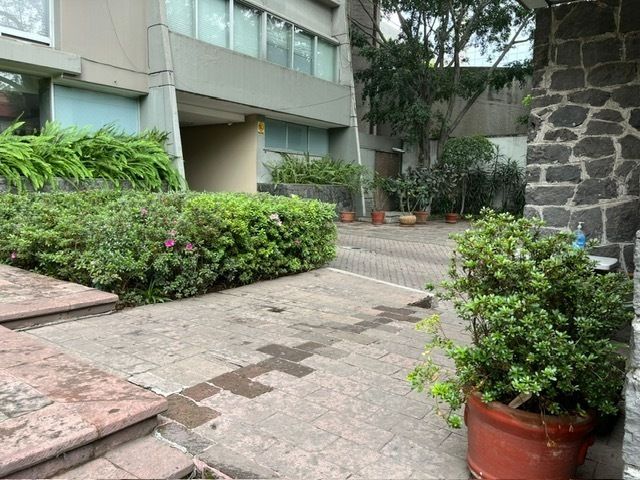 16 de 49