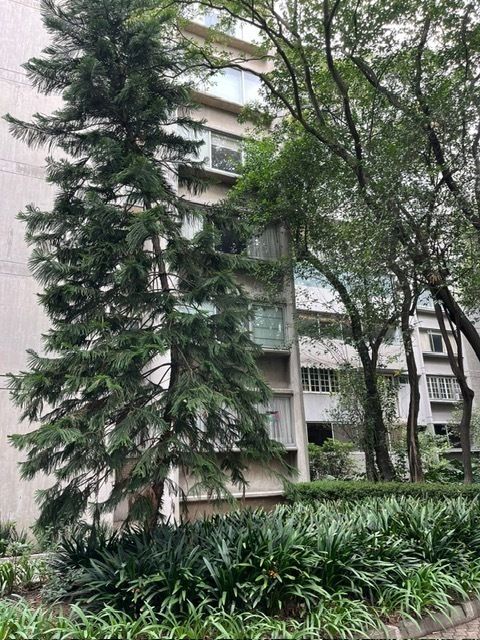 32 de 49