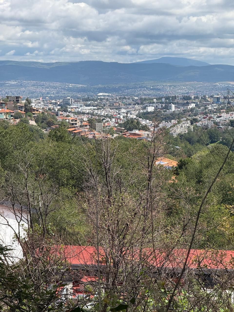 2 de 4