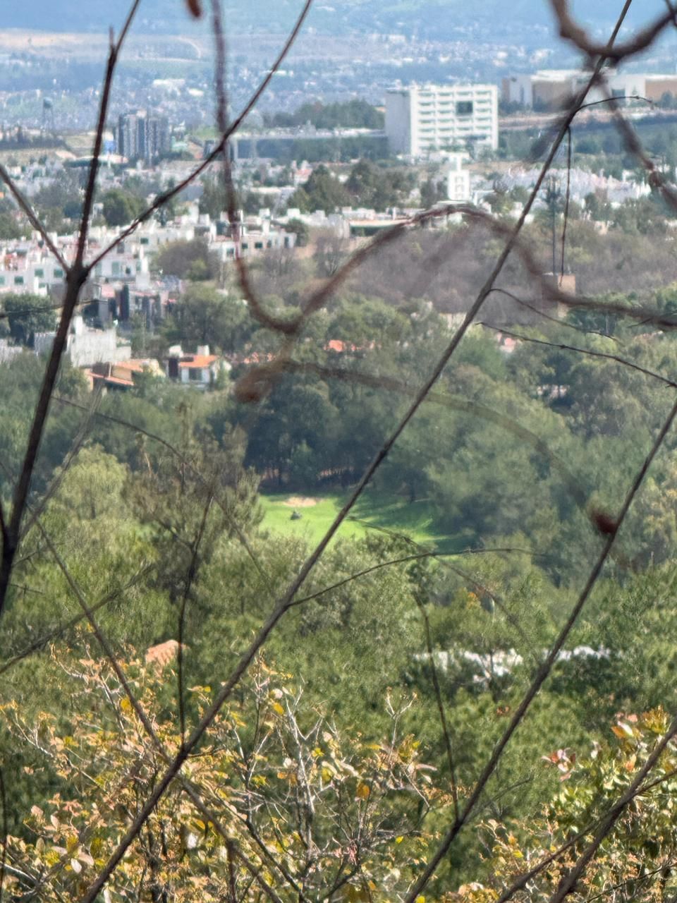 3 de 4