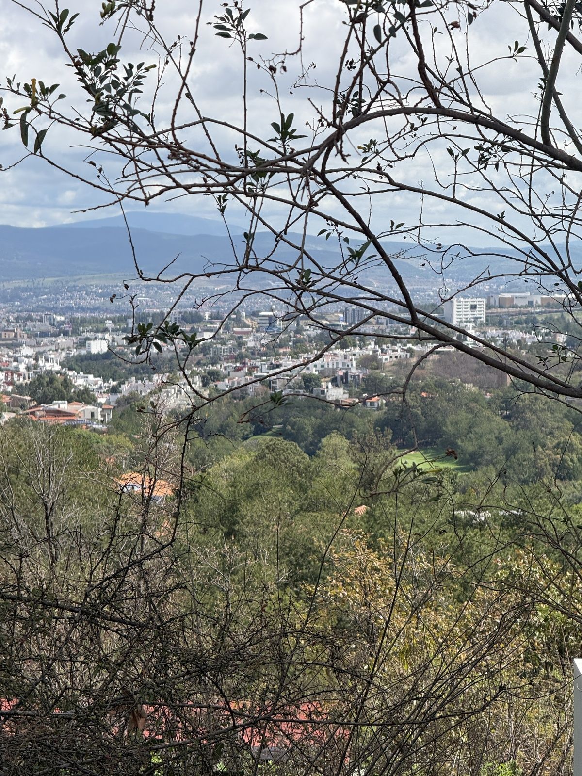 1 de 5