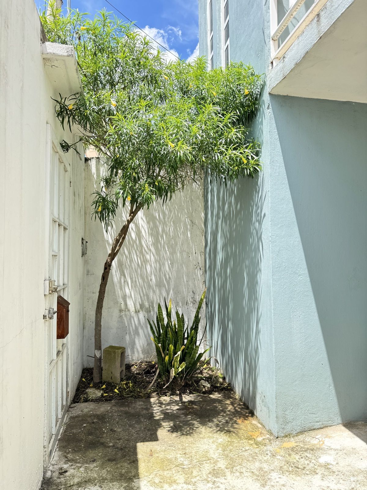 House for sale in Bosques del Pedregal!! - foto 4