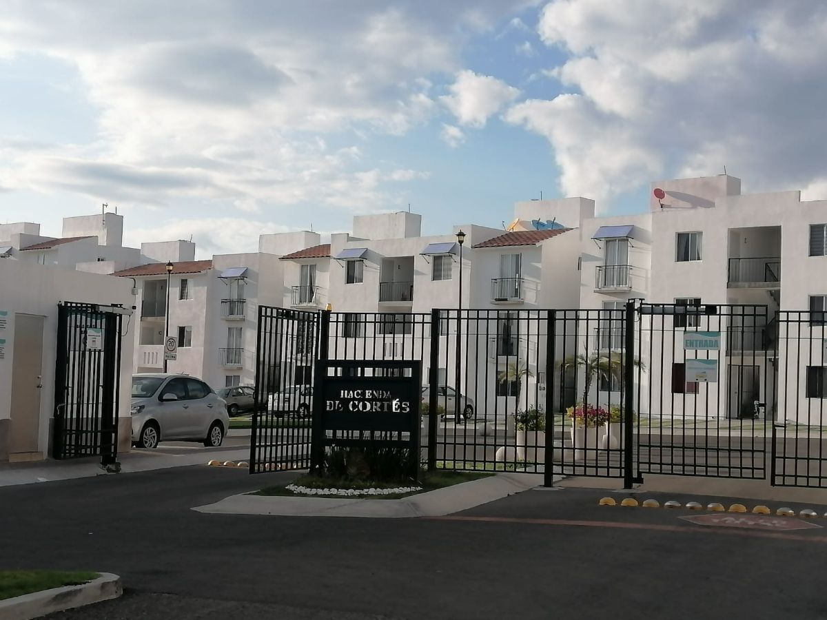 11 de 16
