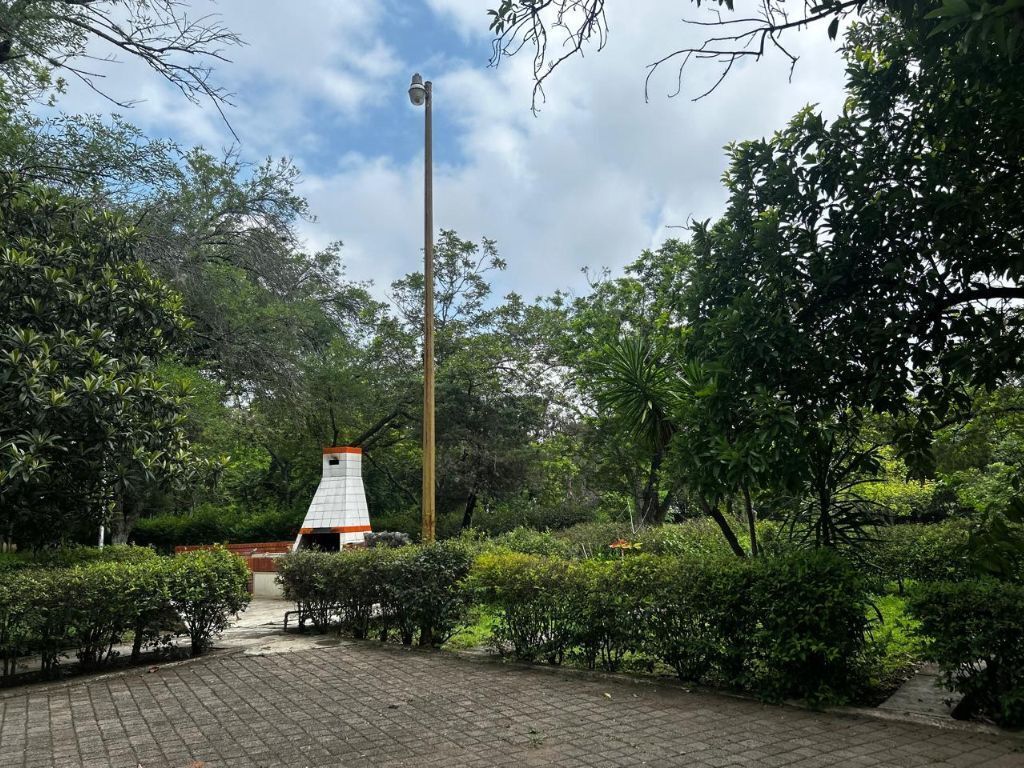 3 de 10