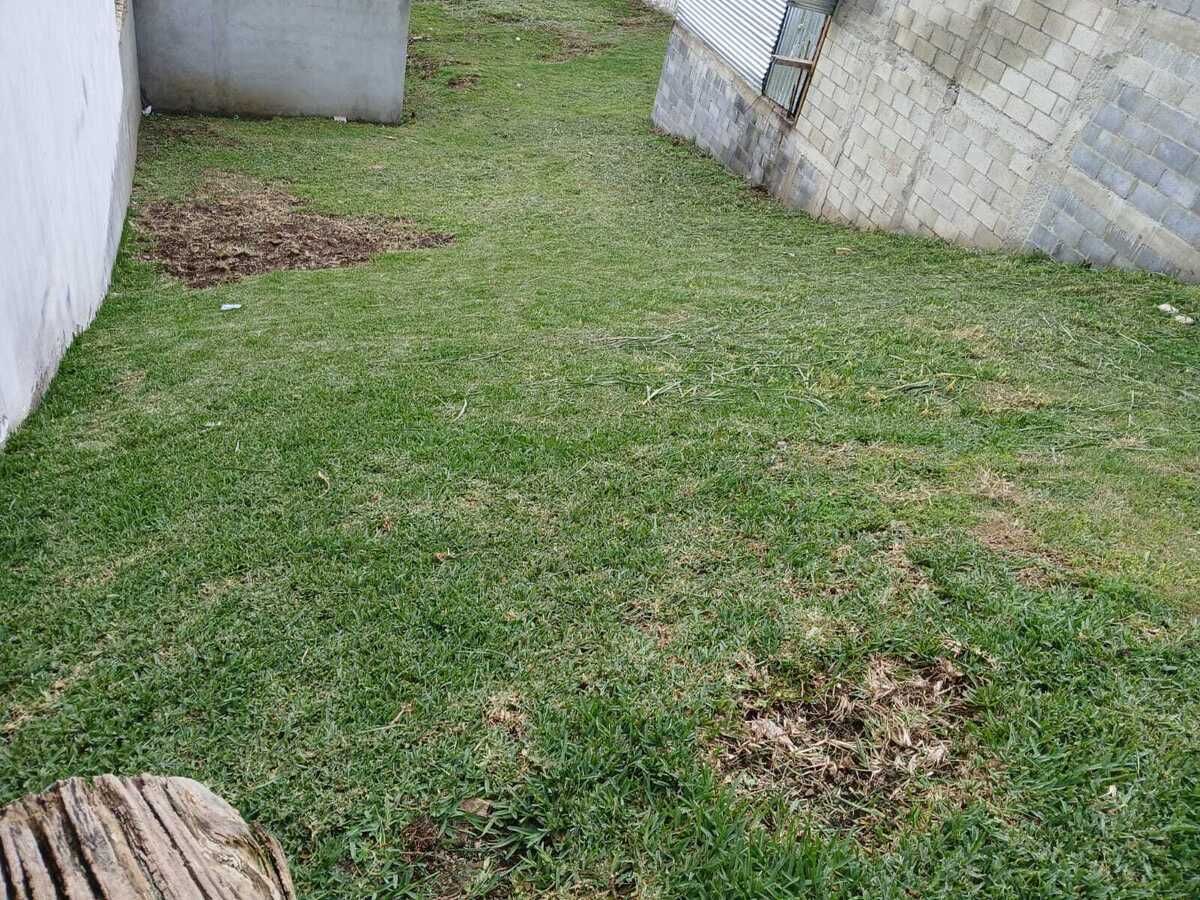2 de 10