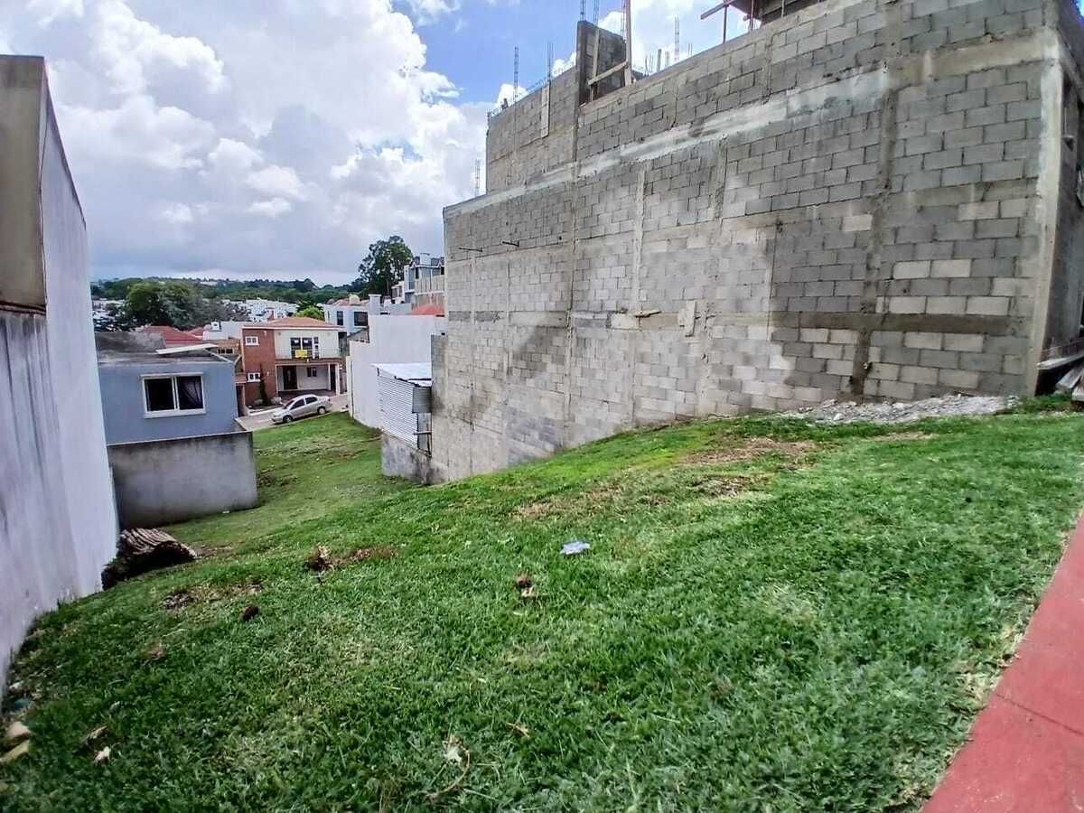 5 de 10