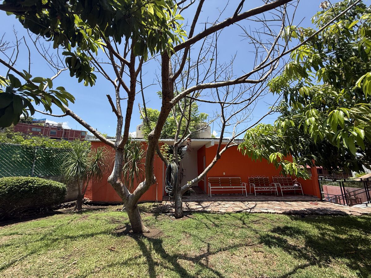 19 de 49