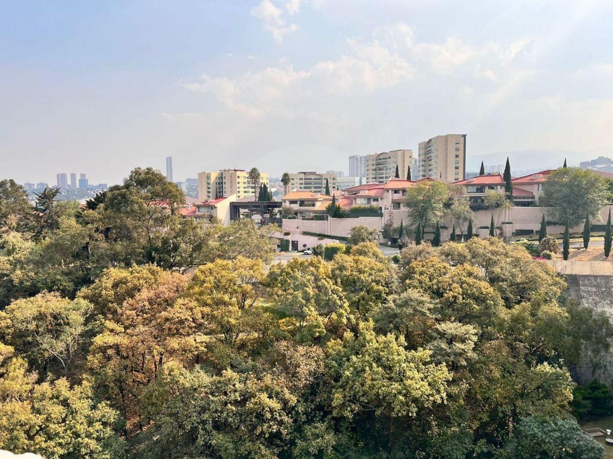 3 of 11: Vista arbolada