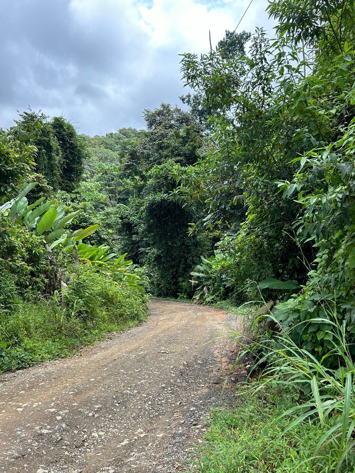 1 de 11