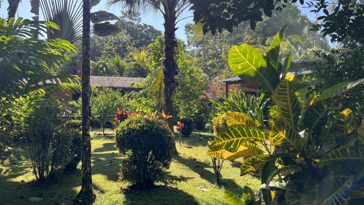 5 de 48