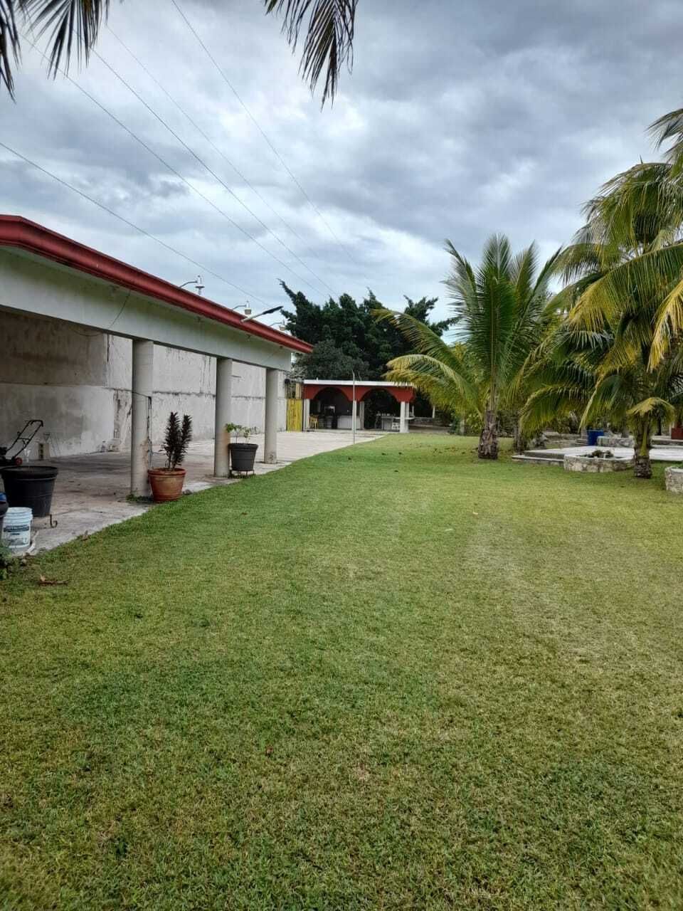 11 de 15