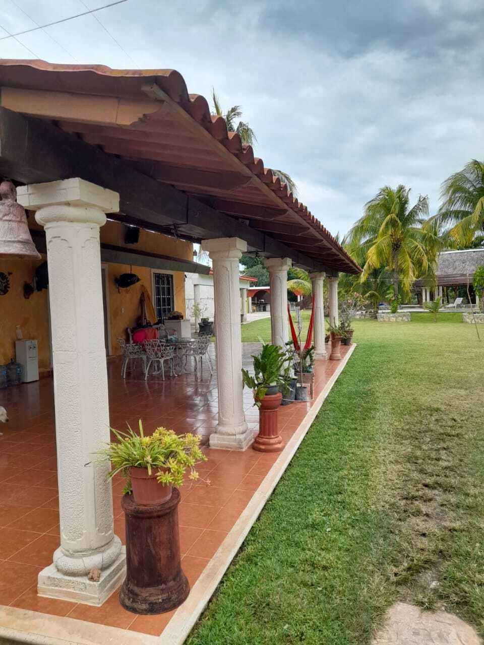 12 de 15