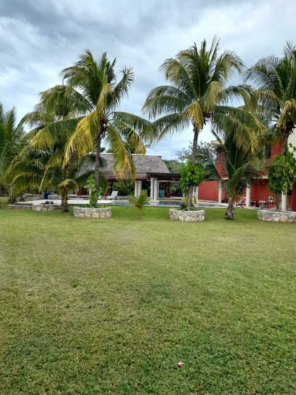 1 de 15