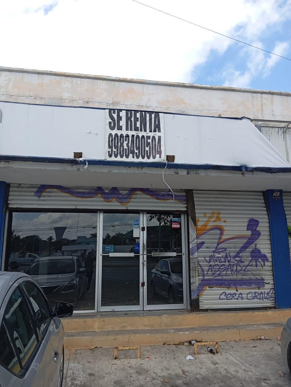 3 de 6