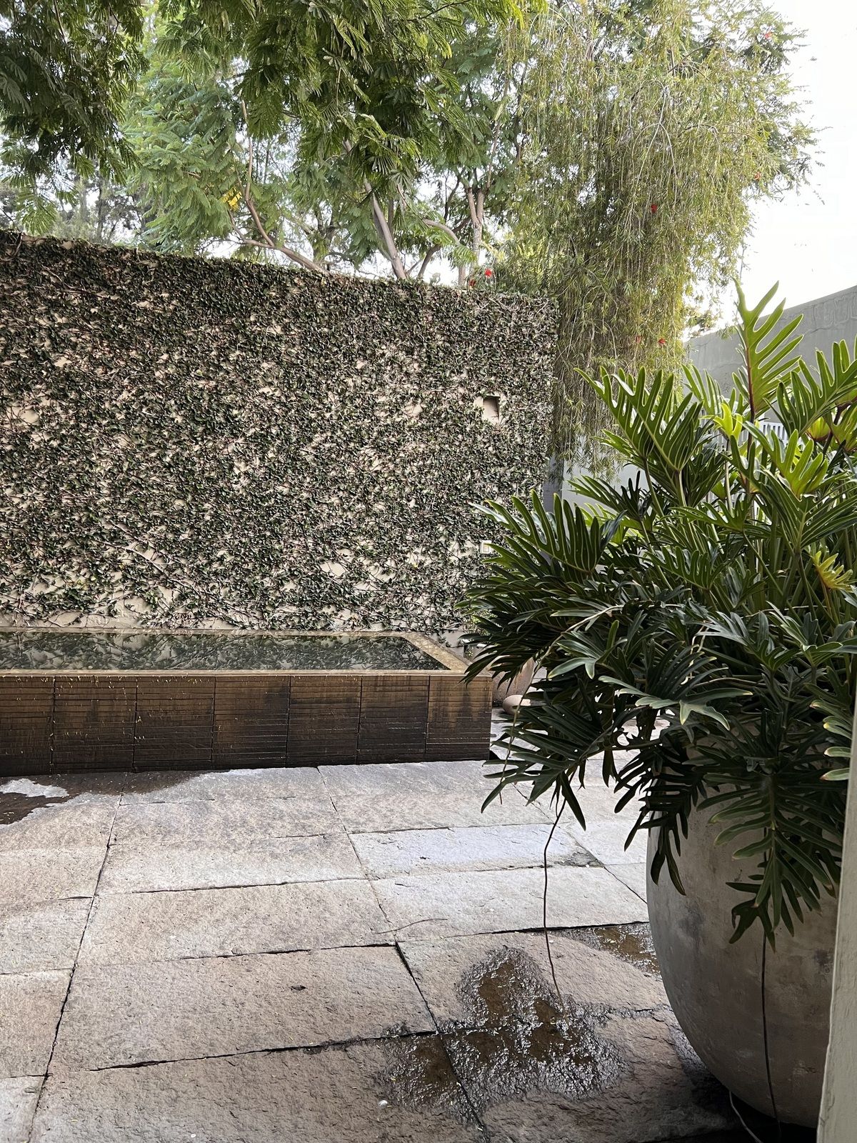 5 de 14
