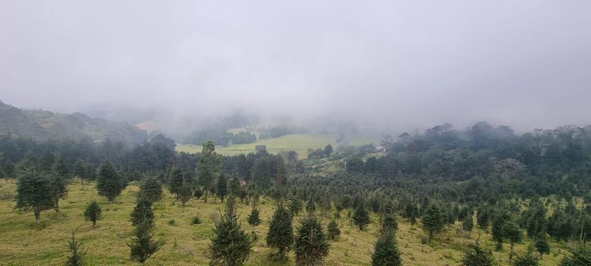 4 de 15