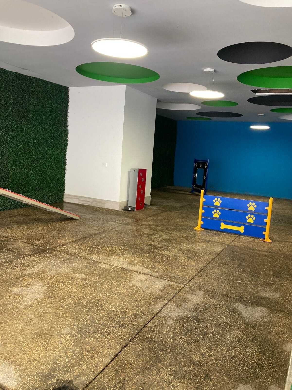 4 de 19
