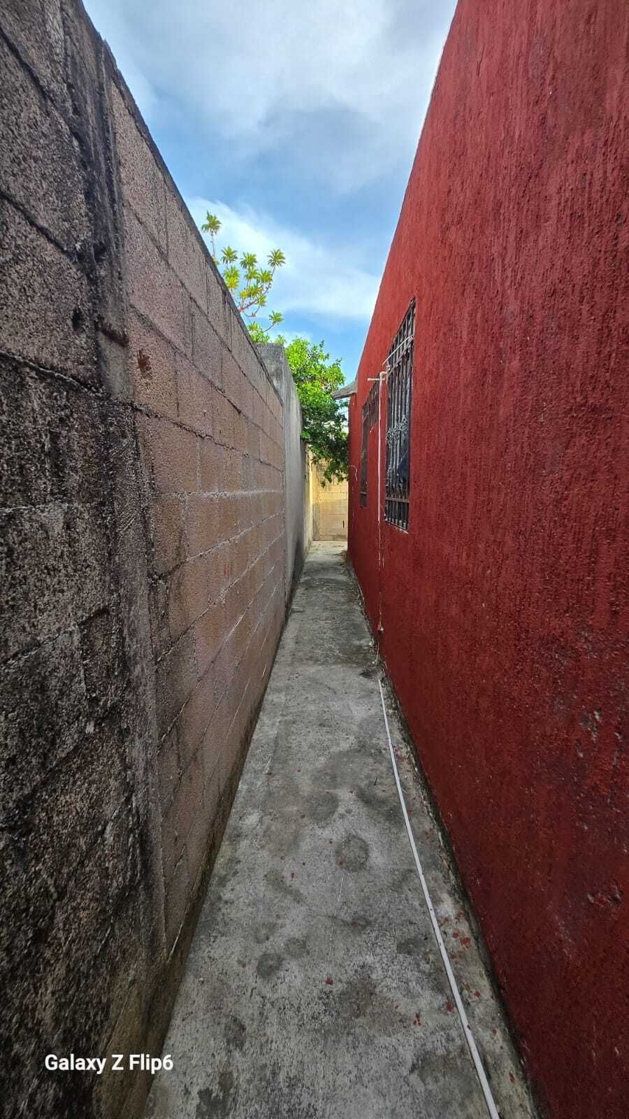 11 de 21