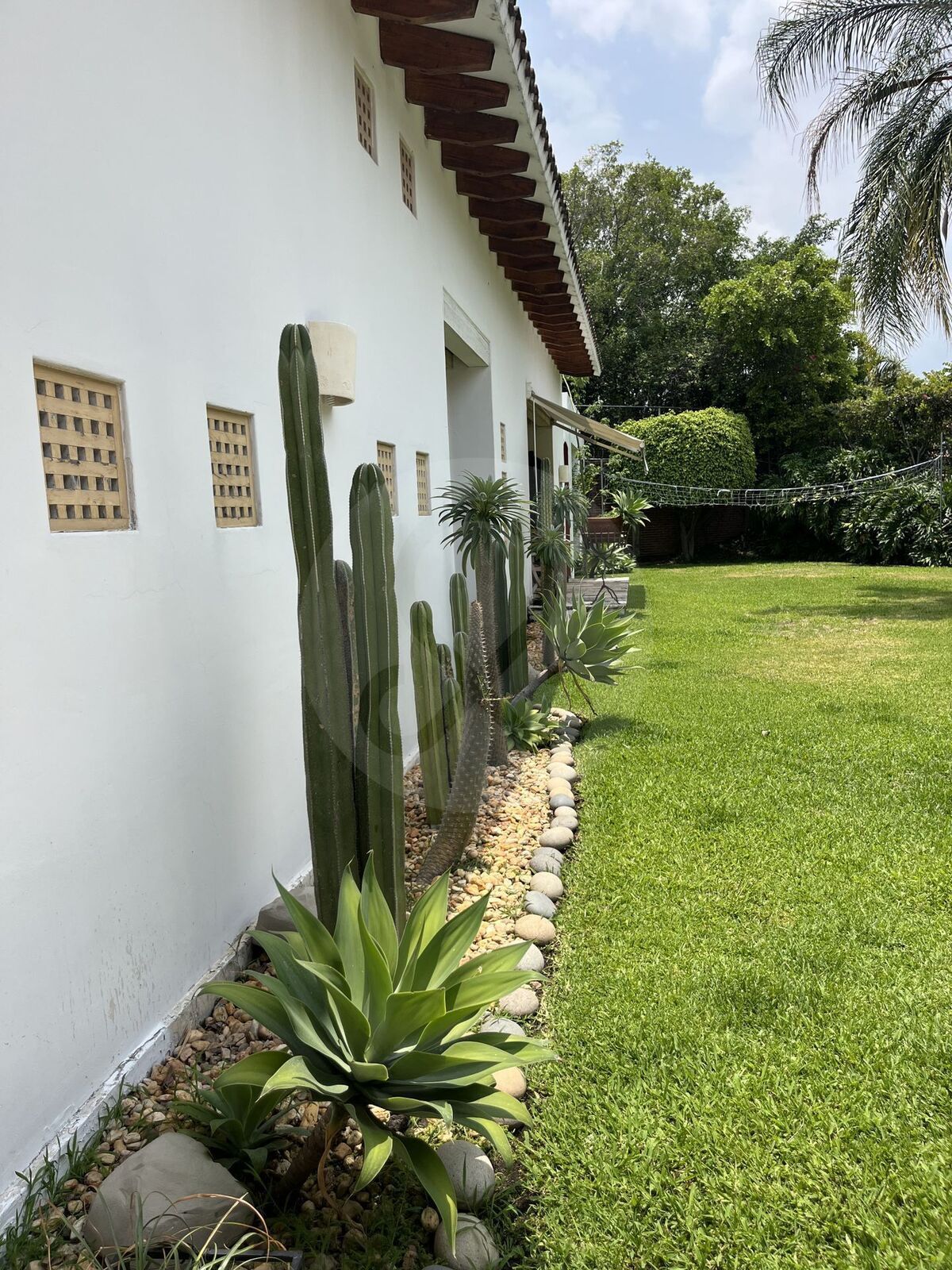 7 de 50